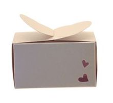 Ivory Rectangle Favour Box