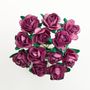 Paper Tea Rose Dusky Pink (144 Pack)