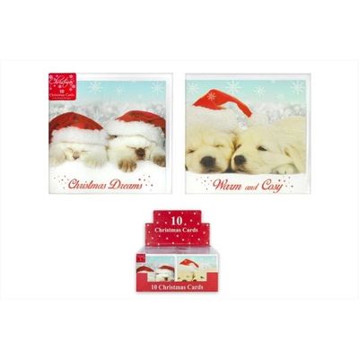 10 Christmas Cards - Cute Cat & Dog