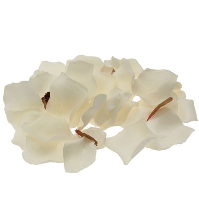 Cream Rose Petals