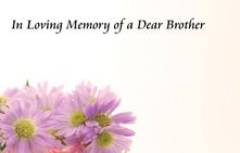 In Loving Memory of a  Brother Sympathy Card