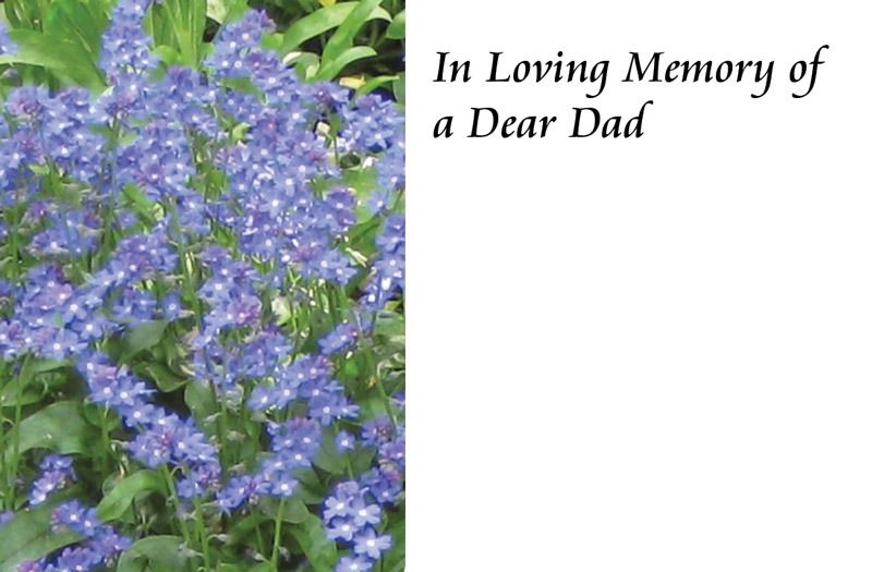 In Loving Memory of a Dad Forget me not Sympathy Card