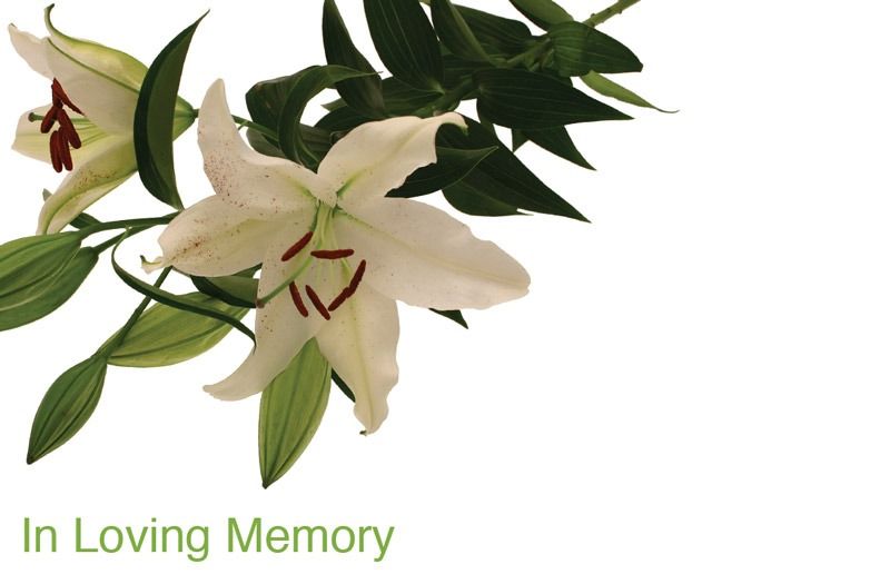 In Loving Memory White Lilies Sympathy Card
