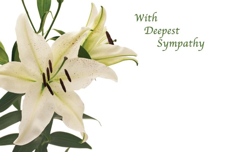 With Deepest Sympathy White Lillies Cards