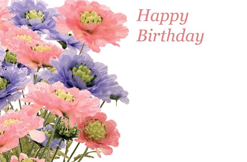 Happy Birthday Scabious Greetings Card