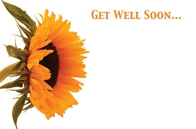 Get Well Soon Sunflower Greetings Card
