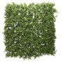 Green Plant Wall