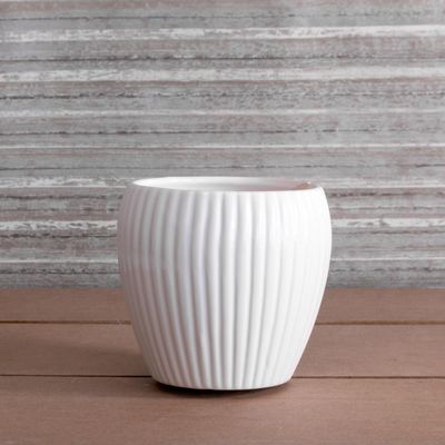 White Ribbed Bulbous Ceramic Pot 10.5cm