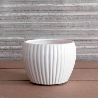 White Ribbed Bulbous Ceramic Pot 10.1cm