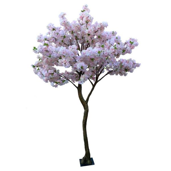 Pink Blossom Tree (2.7m)