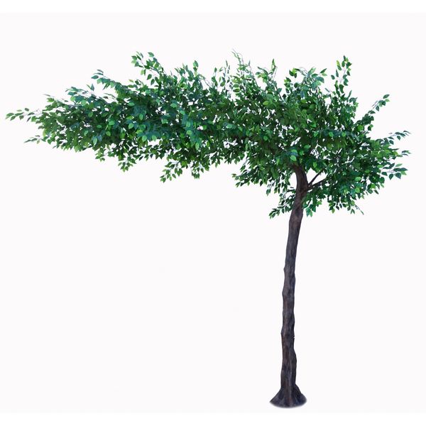 Green Tree (3.1m)