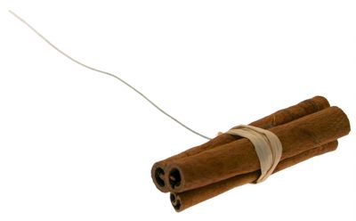 Cinnamon Sticks on Wire (x3)