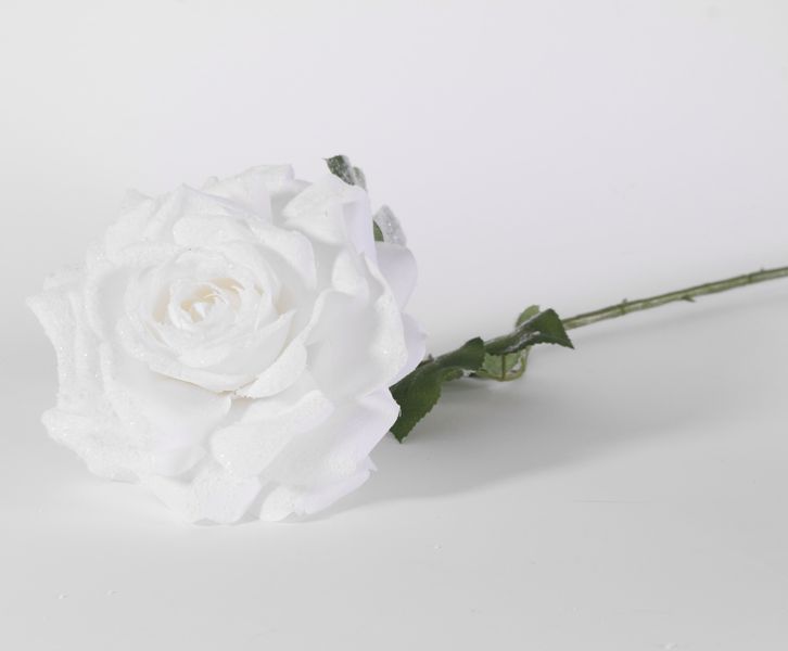 67cm Single Madonna Rose