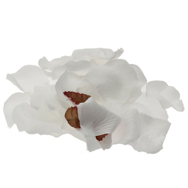 White Rose Petal Confetti