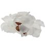 White Rose Petal Confetti