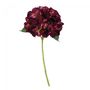 dark Purple Short Stem Hydrangea