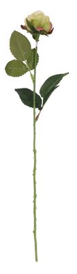 Light Green Diamond Rose 61cm