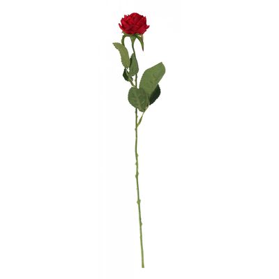 Red Diamond Rose 61cm