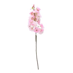 Light Pink Single Apple Blossom 