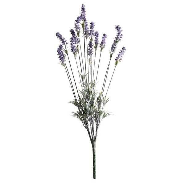 Purple Lavender Plant 