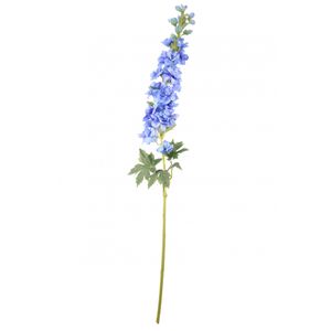 Blue Cottage Garden Delphinium 