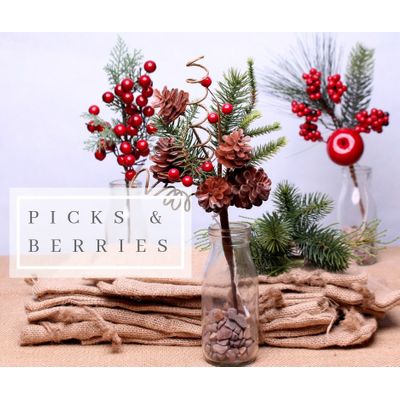 Picks & Berries Newsletter