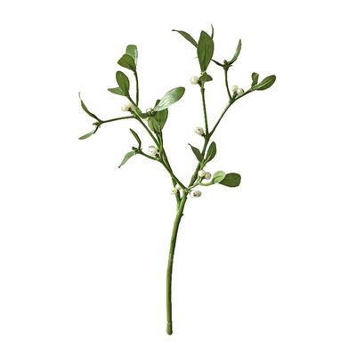 Mistletoe on Short Stem