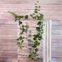 Green Ivy Garland