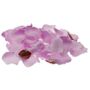 Lilac Rose Petal Confetti