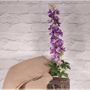 Delphinium Lavender