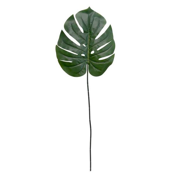 Philo Leaf