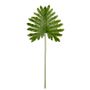 Palm Leaf