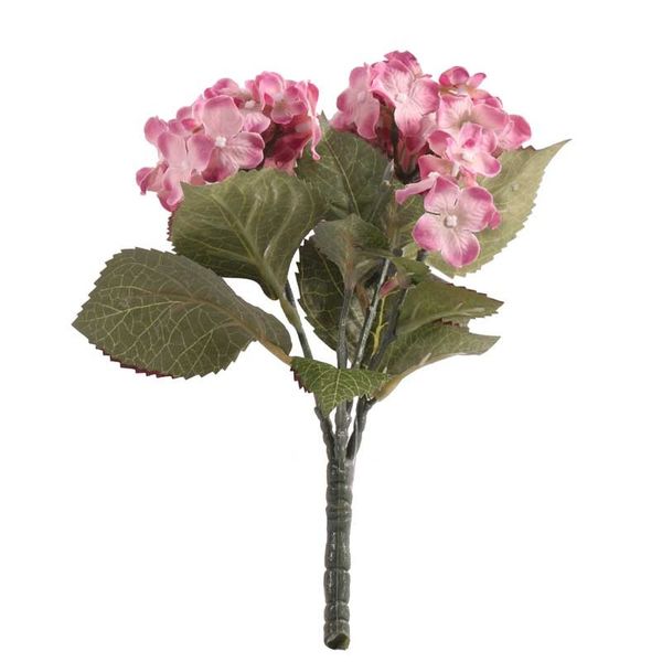 Pink Hydrangea Bush