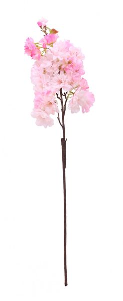 Pink Apple Blossom Stem