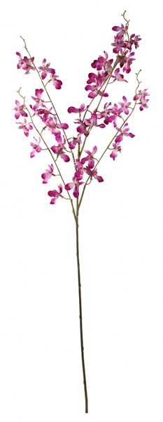 Lavender Oncidium Orchid Spray