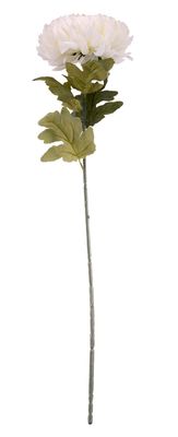 Cream Chrysanthemum Flower 75cm