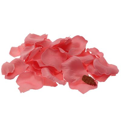 Baby Pink Rose Petal Confetti