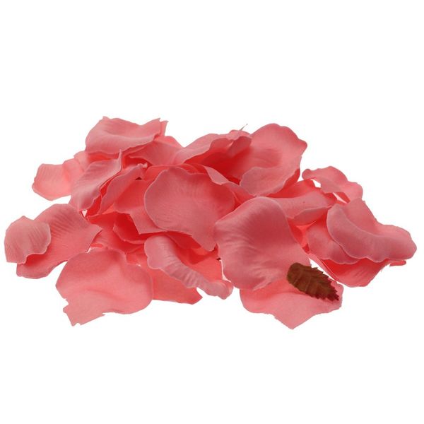 Baby Pink Rose Petal Confetti