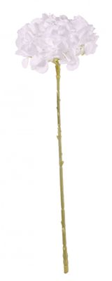 Short Stem Single Hydrangea White