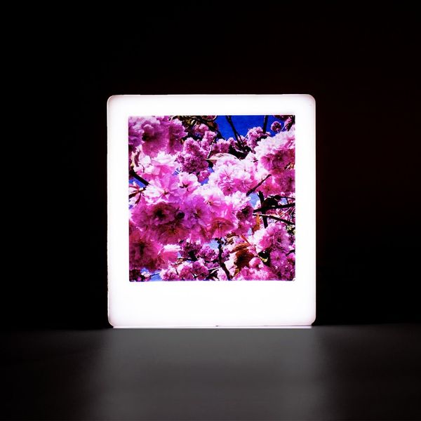 polaroid light box