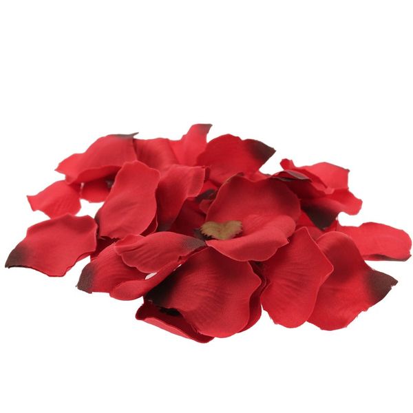 Red Rose Petal Confetti
