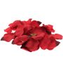 Red Rose Petal Confetti