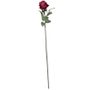 Arundel Rose Bud Burgundy (24/240)