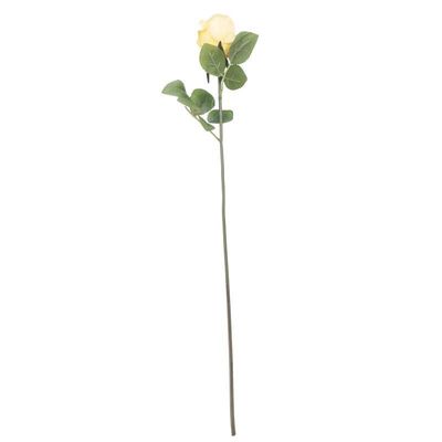 Arundel Rose Bud Yellow (24/240)