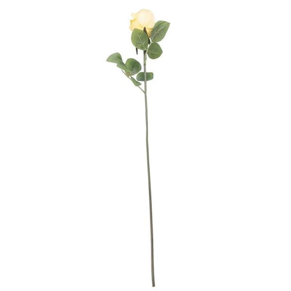 Arundel Rose Bud Yellow (24/240)