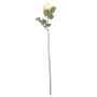 Arundel Rose Bud Yellow (24/240)