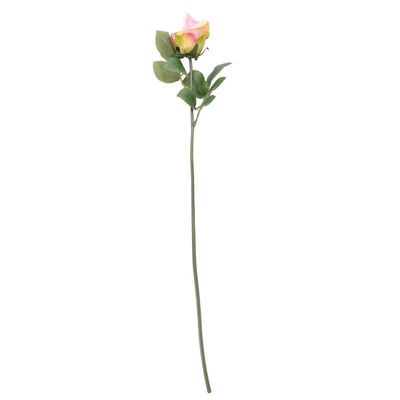 Arundel Rose Bud Dusky Pink (24/240)