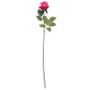 Arundel Rose Bud Fuchsia (24/240)