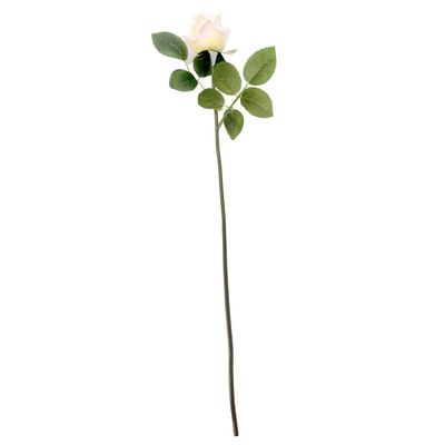 Arundel Rose Bud Ivory (24/240)