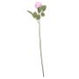 Arundel Rose Bud Lavender (24/240)